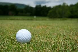 Golfbold